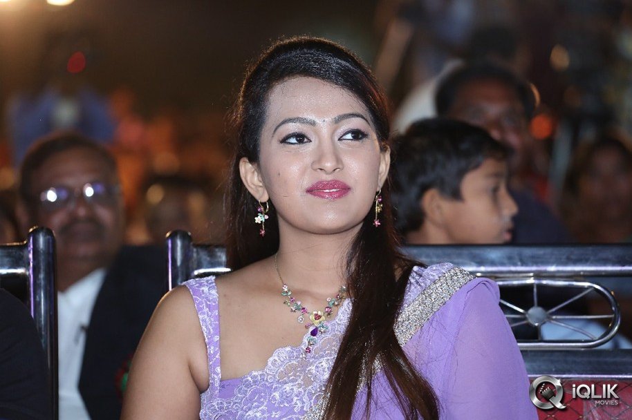 Bheemavaram-Bullodu-Platinum-Disc-Function